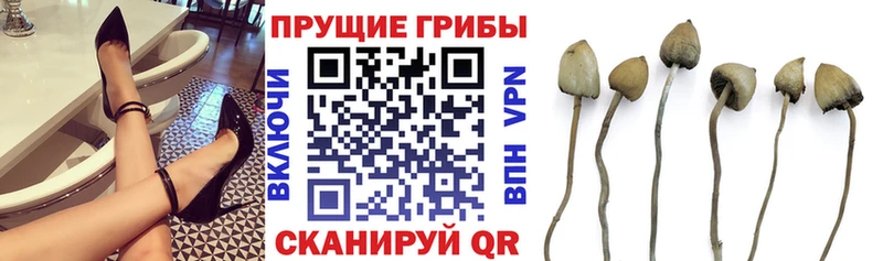 Псилоцибиновые грибы ЛСД  купить наркотик  Лениногорск 