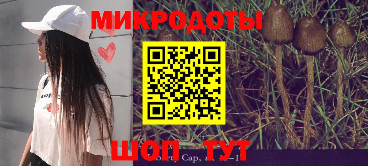 Галлюциногенные грибы Cubensis Лениногорск