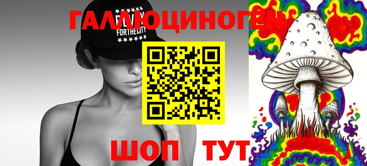 Псилоцибиновые грибы GOLDEN TEACHER  Вход с VPN  Лениногорск 